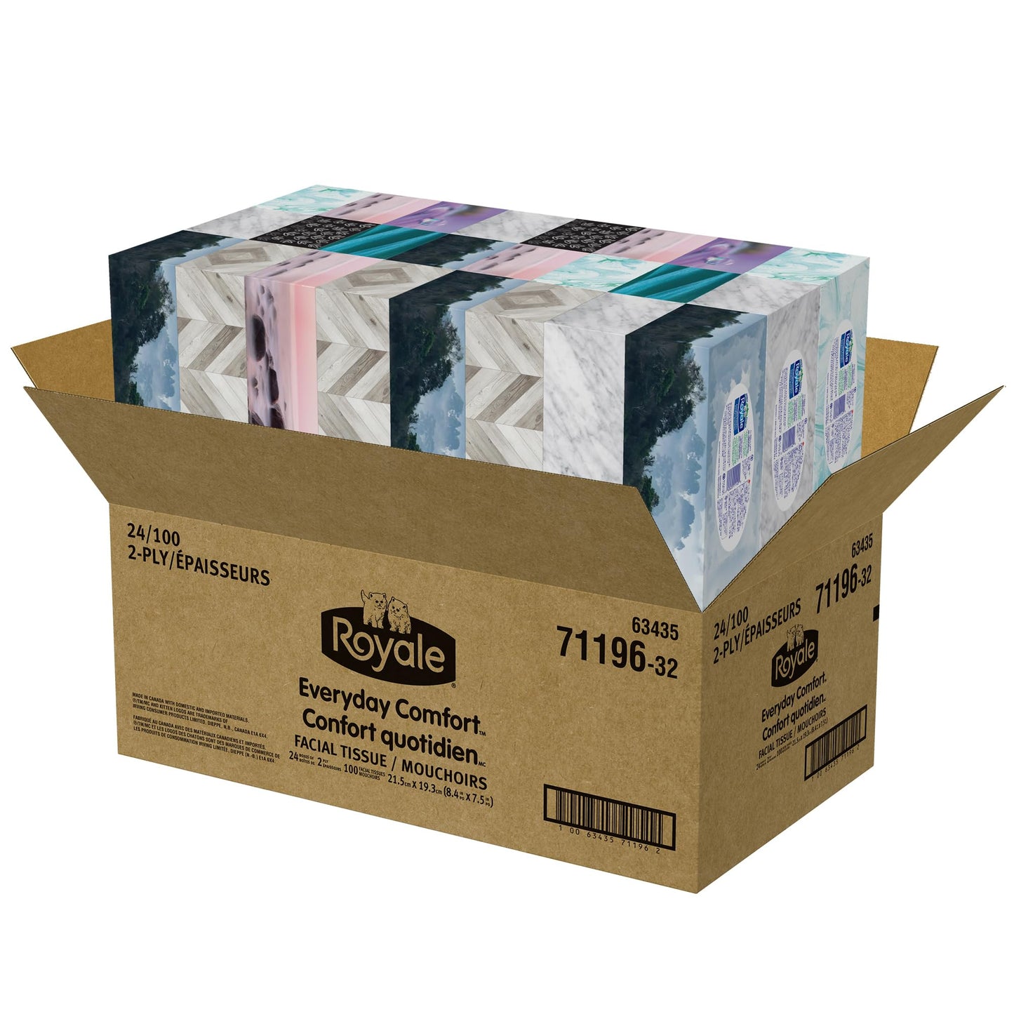 Royale Everyday Comfort 2 Ply Facial Tissue, 24 Tissue Boxes, 100 Tissues per Box 🍁 All In One Marketplace Canada