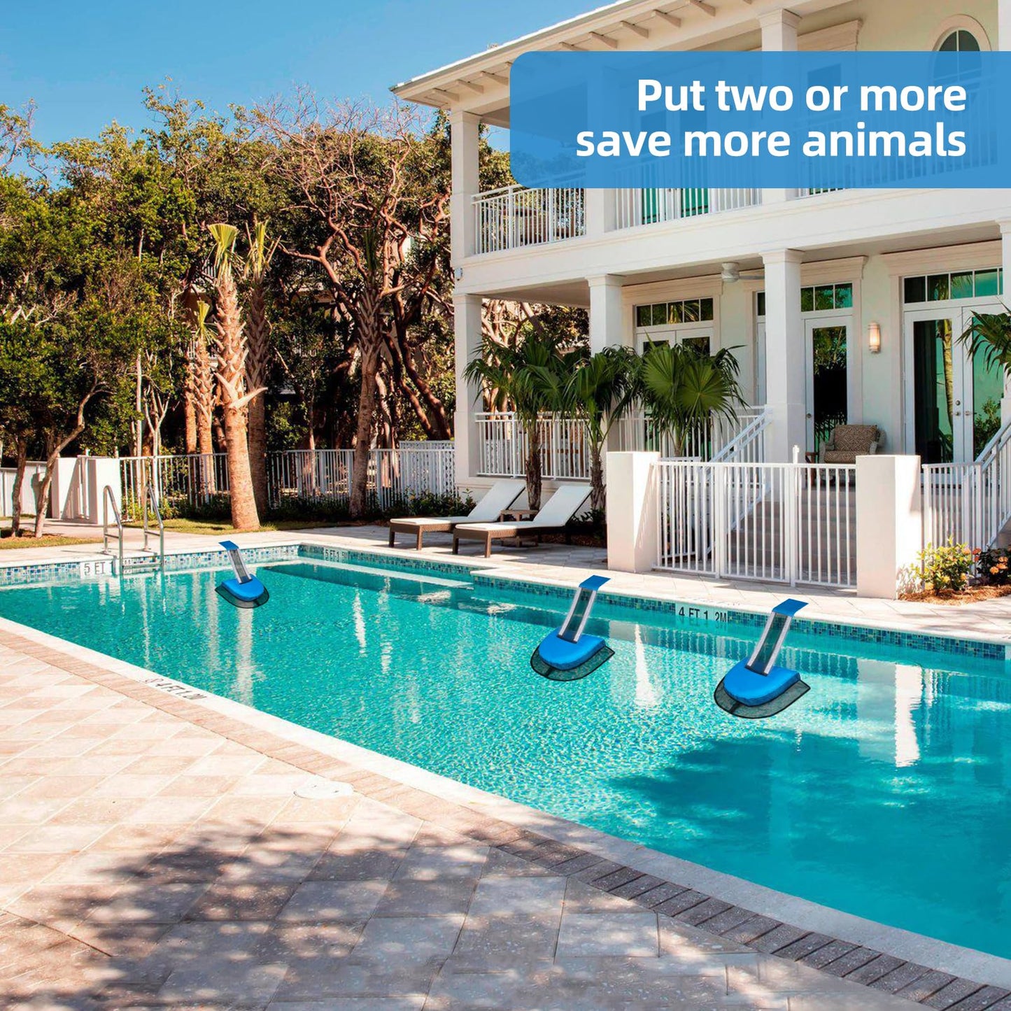 2Pcs Pro Animal Frog Wildlife Saving Saver Escape Ramp Bridge for Swimming Pool Floating Small Animal Critter Ducks Escape Ramp Frog Pads for Pool Log Device Reduces Maintenance Accessories (Blue, L) 🍁 All In One Marketplace Canada