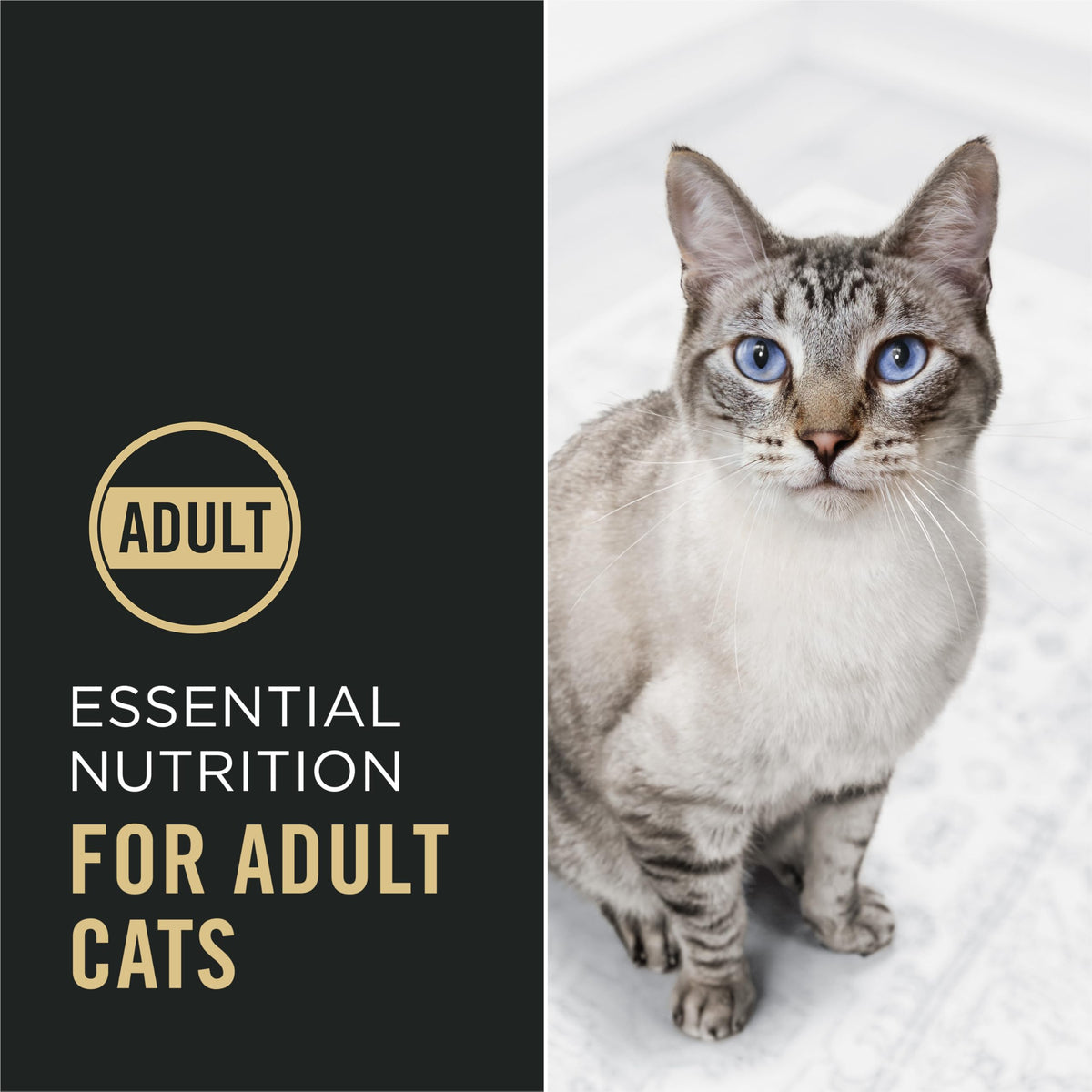 Purina Pro Plan Dry Cat Food, Complete Essentials Chicken & Rice - 7.26 kg Bag (1 Pack) 🍁 All In One Marketplace Canada