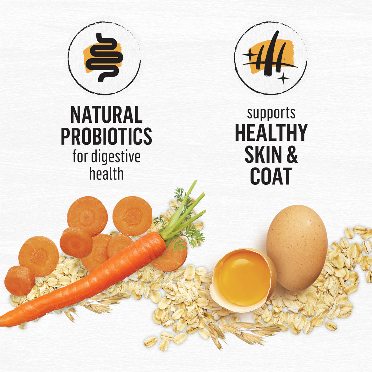 Beyond Dry Cat Food, Chicken & Whole Oatmeal 5.89kg 🍁 All In One Marketplace Canada