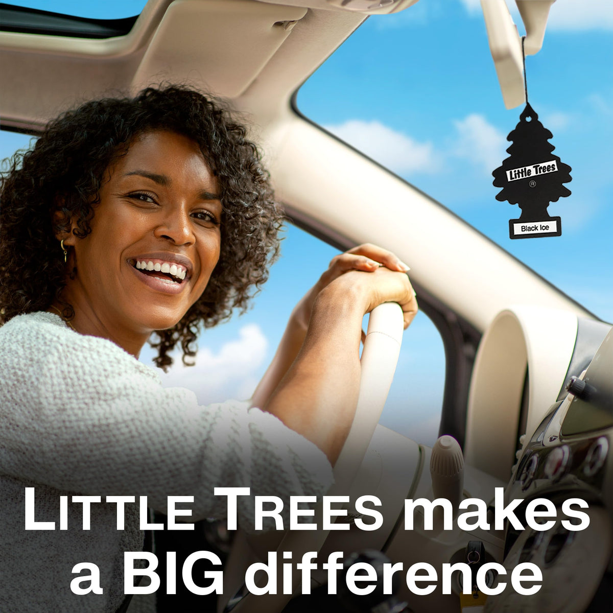 LITTLE Air Fresheners Car Air Freshener. Hanging Tree Provides Long Lasting Scent for Auto or Home. New Car Scent, 24 Air Fresheners 🍁 All In One Marketplace Canada