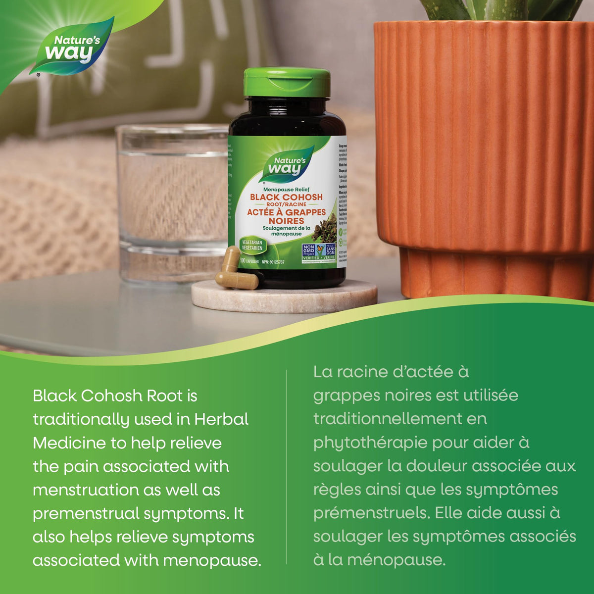 Nature's Way Black Cohosh Root – Hormone Balance for Women – 540mg Herbal Supplement for Menopausal Symptoms – Helps Relieve Menstruation Pain & Premenstrual Symptoms – 100 Vegetarian Capsules 🍁 All In One Marketplace Canada