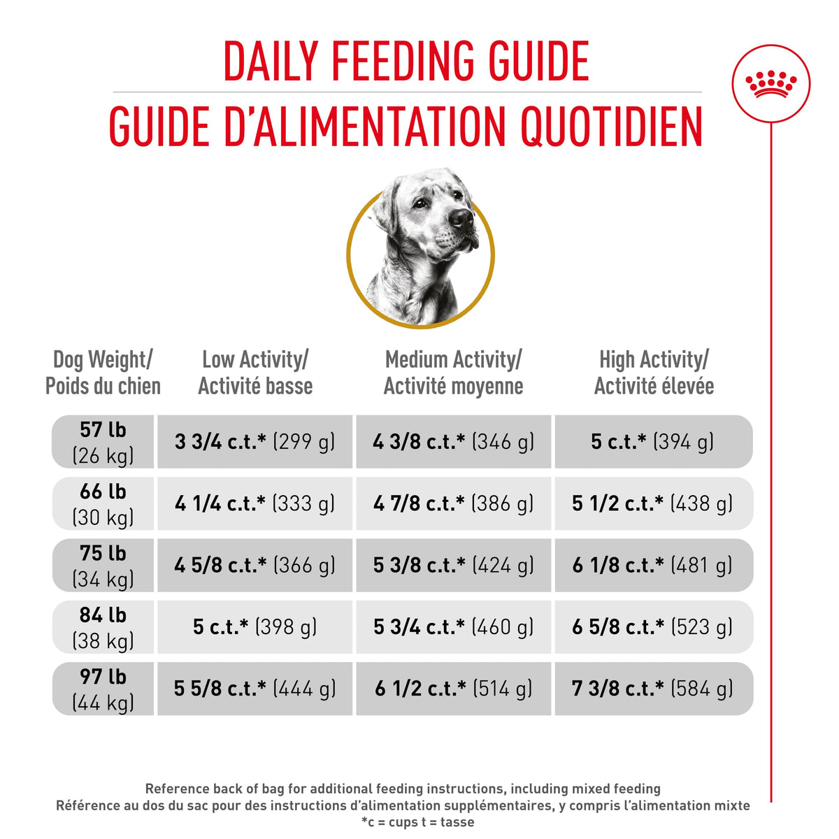 Royal Canin Labrador Retriever Adult Dry Dog Food, 30 lb bag 🍁 All In One Marketplace Canada