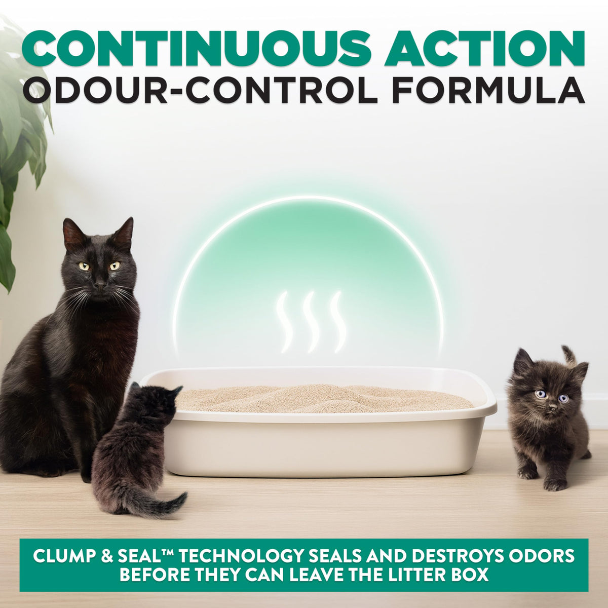 Arm & Hammer Clump & Seal Slide Clay Cat Litter, Non-Stop Odour Control, 12.7kg, 7 Days of Odour Control, Dust Free, Clumping Litter (Pack of 1) 🍁 All In One Marketplace Canada
