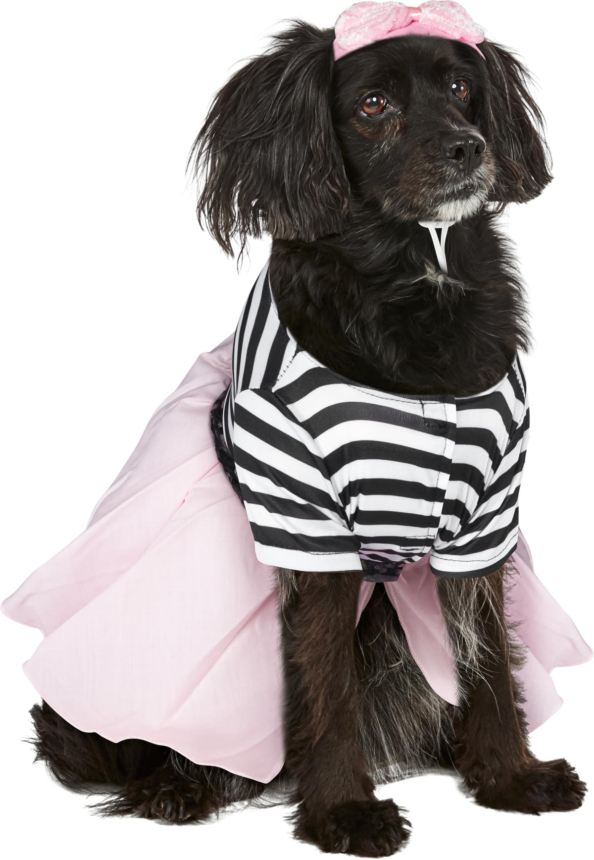 Rubies Costume Co Halloween Classics Collection Pet Costume, Small, 50s Girl Dress