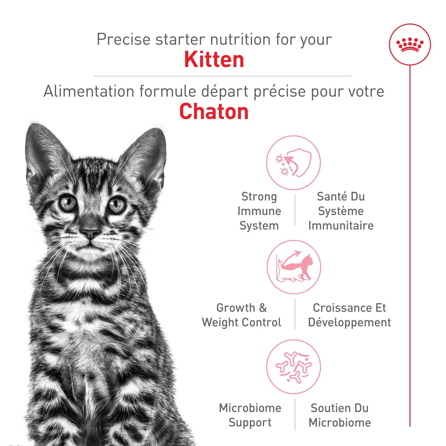 Royal Canin Feline Health Nutrition Kitten Spayed/Neutered Dry Cat Food, 2.5 lb Bag 🍁 All In One Marketplace Canada