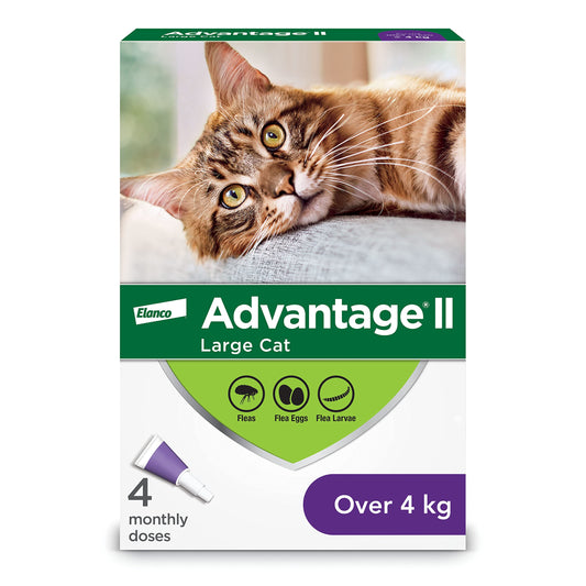 Advantage II Flea Protection for Large Cats weighing over 4 kg (over 9 lbs.) - 4 doses 🍁 All In One Marketplace Canada
