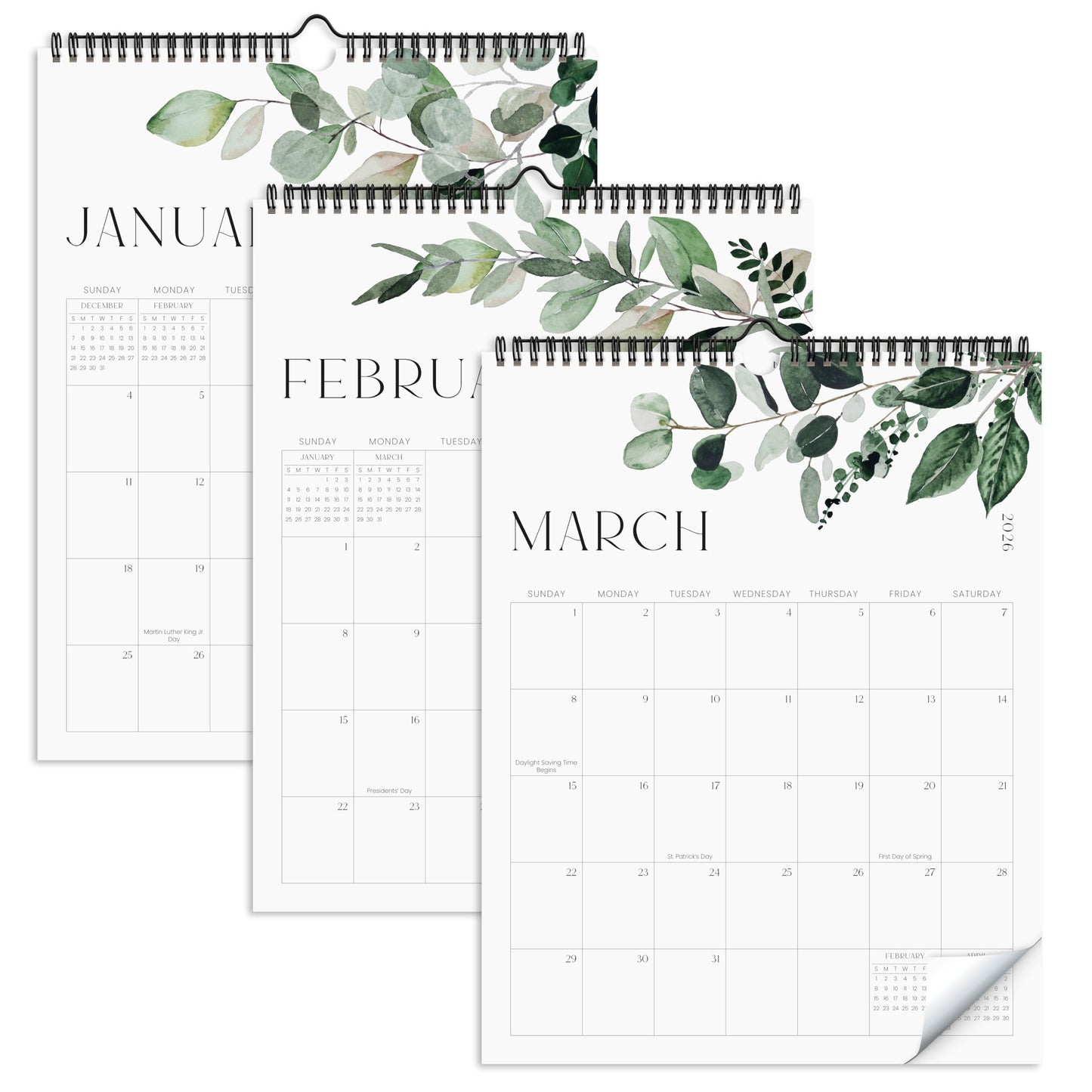 Aesthetic 2026-2027 Wall Calendar - Runs from January 2026 Until July 2027 - The Perfect Modern Greenery Calendar Planner for Easy Organizing 🍁 All In One Marketplace Canada