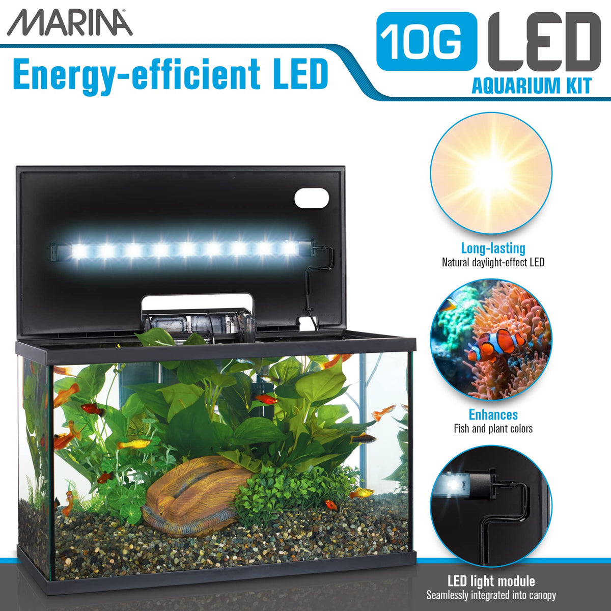 Marina LED Aquarium Kit, 10 Gallon, (15256A1) 🍁 All In One Marketplace Canada