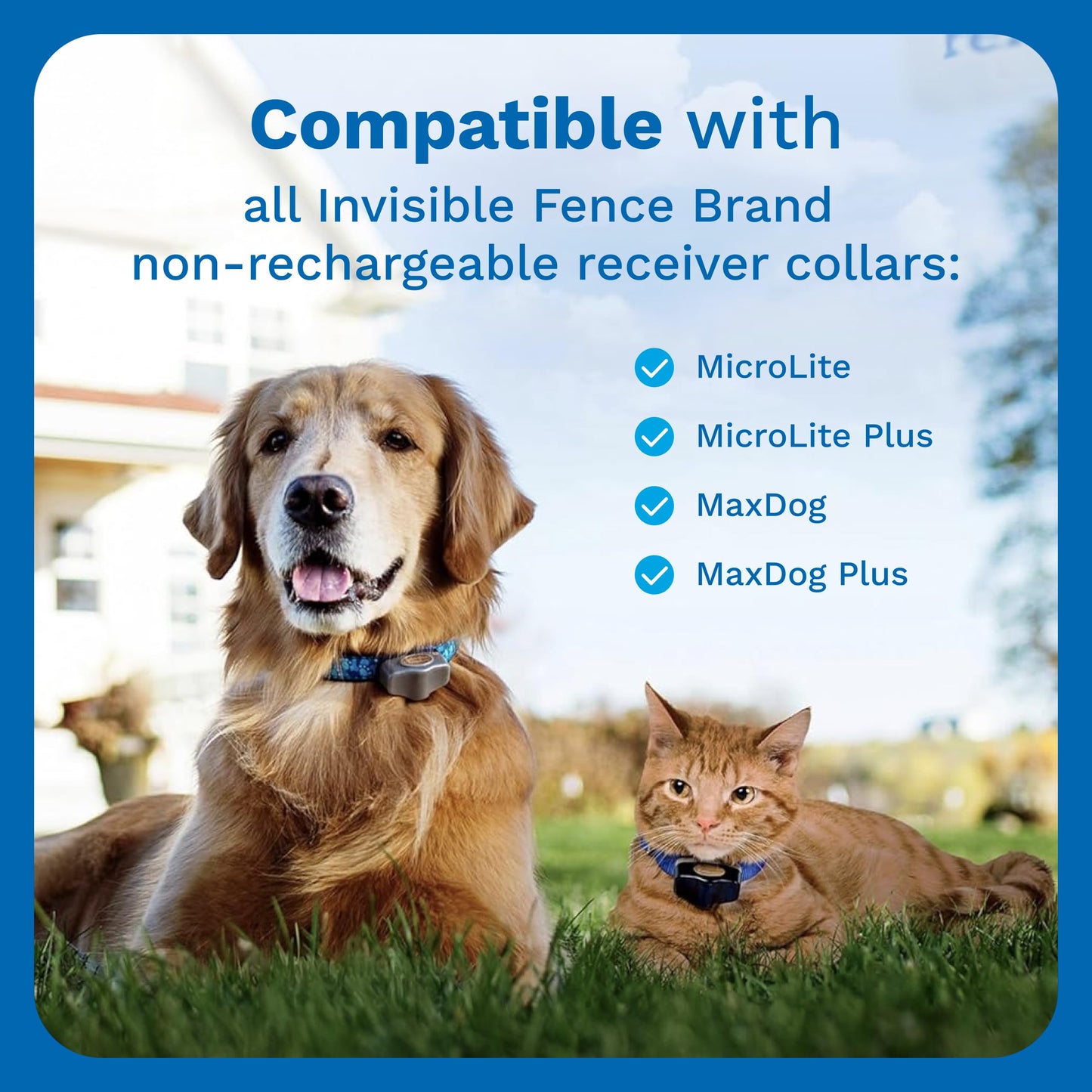 INVISIBLE FENCE Brand Power Cap Batteries for Microlite and Microlite Plus Computer Collar Units – 2-Pack – Also Compatible for MaxDog and MaxDog Plus Invisible Fence Dog Collars 🍁 All In One Marketplace Canada