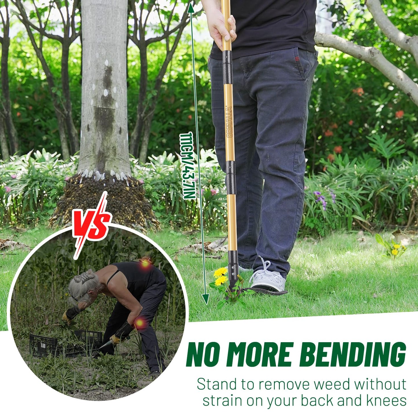 ORMALLA Weed Puller, 43.7in Long Handle Weed Remover, Dandelion Removal Tool, Natural Bamboo Handle and 4 Claws, Stand Up Garden Weed Root Remover, Pet Friendly (43.7in) 🍁 All In One Marketplace Canada