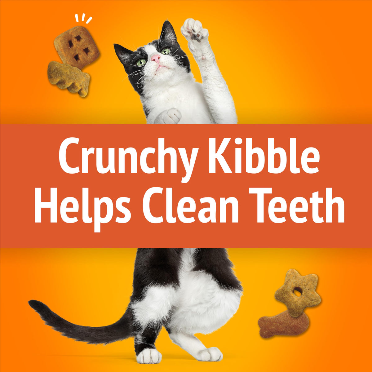Friskies Party Mix Cat Treats, Original Crunch Chicken 510g (3 Pack) 🍁 All In One Marketplace Canada