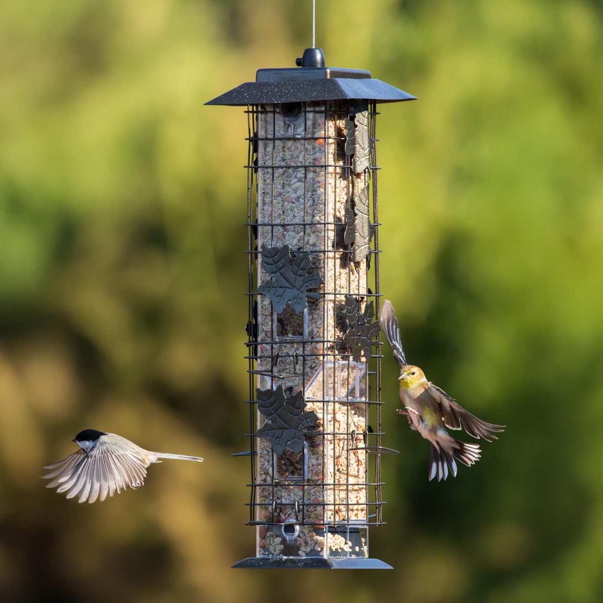 Perky-Pet 336-1SR Squirrel-Be-Gone Bird Feeder, 2LB Squirrel Proof Outdoor Wild Bird Feeder with Weight-Activated Perches 🍁 All In One Marketplace Canada