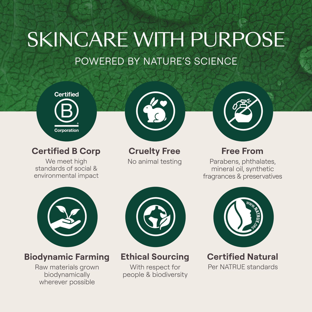 Weleda Diaper Rash Cream,soothing, 81 grams , Kids 🍁 All In One Marketplace Canada
