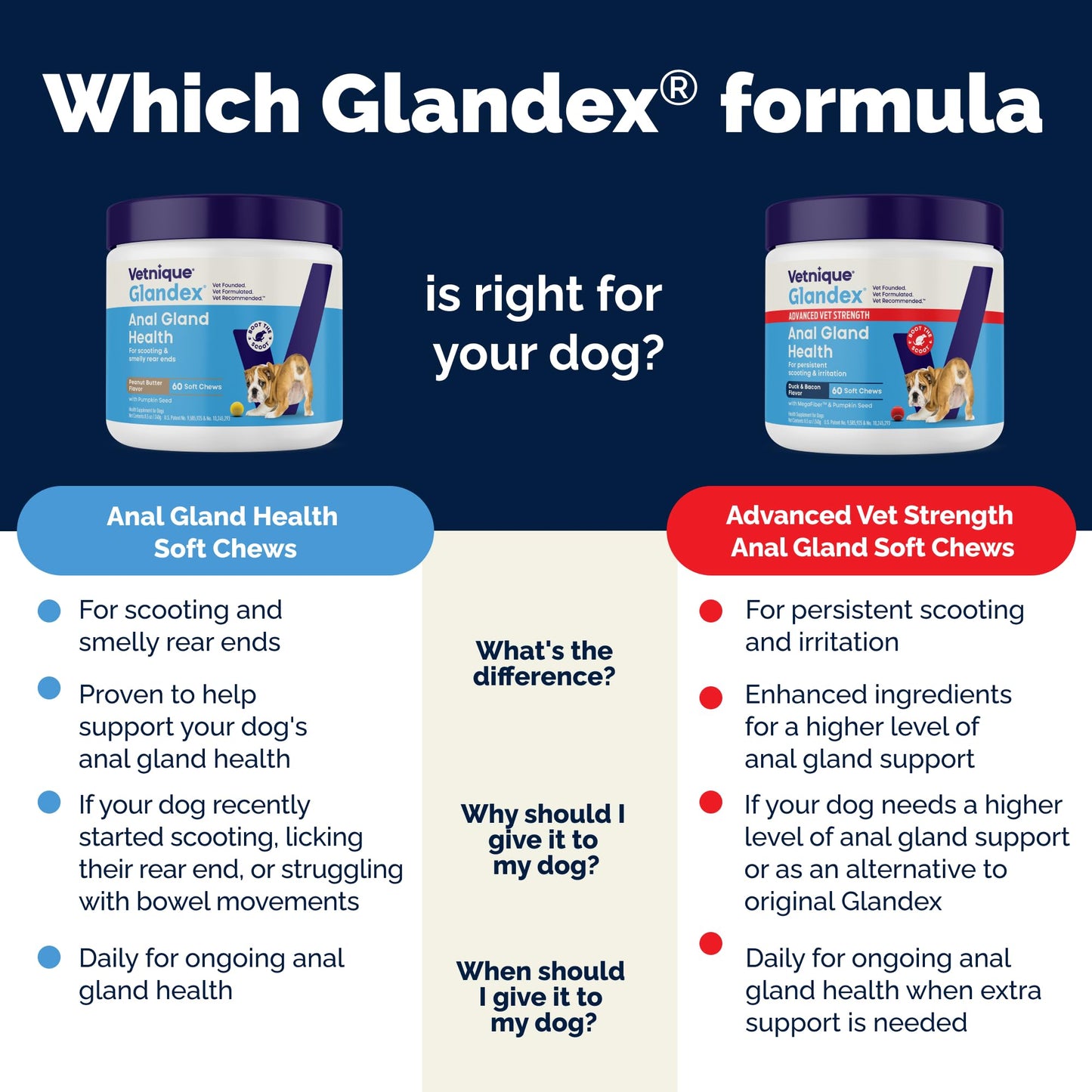 Glandex Anal Gland Soft Chew Treats with Pumpkin for Dogs Chews with Digestive Enzymes, Probiotics Fiber Supplement for Dogs – Vet Recommended - Boot The Scoot (Peanut Butter, 120ct Chews) 🍁 All In One Marketplace Canada