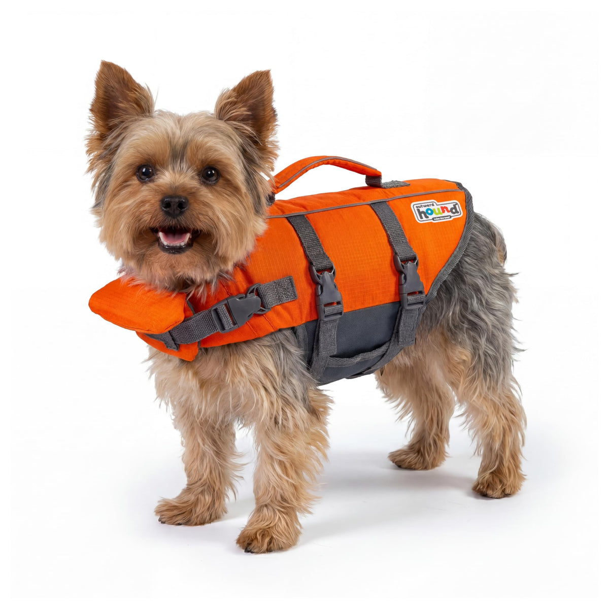Outward Hound Granby Splash Dog Life Jacket with Handle, Reflective Floating Vest for Swimming & Boating, Maximum Buoyancy, All Skill Levels, Extra-Small Dogs & Puppies (11–15" Girth), Orange, X-Small 🍁 All In One Marketplace Canada