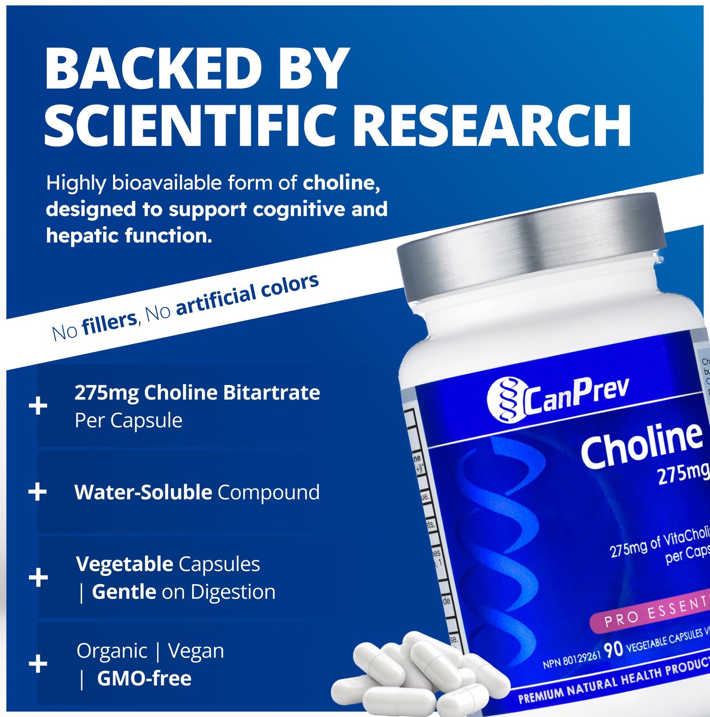 CanPrev Choline 275mg 90 Veggie Capsules, 90-Day Supply, VitaCholine for Cognitive Function, Memory & Focus, Vegan, Non-GMO, Gluten & Soy-Free, Supports Pregnancy, Liver & Heart Health, Made in Canada 🍁 All In One Marketplace Canada