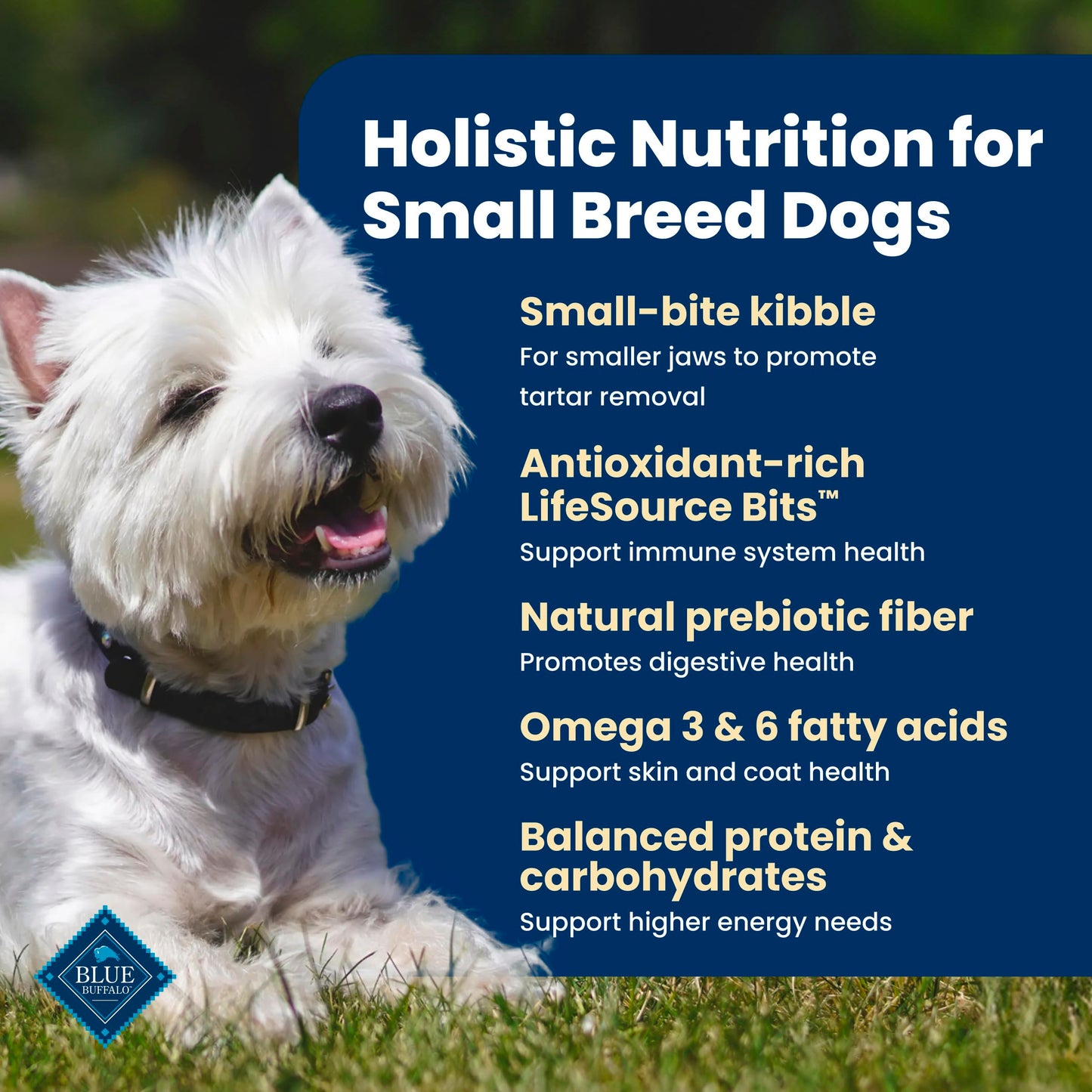 Blue Buffalo Life Protection Formula Chicken & Brown Rice Small Breed Adult Dry Dog Food, Supports Immunity with Antioxidant-Rich LifeSource Bits, Promotes Healthy Muscles, 6.8kg/15 lbs 🍁 All In One Marketplace Canada
