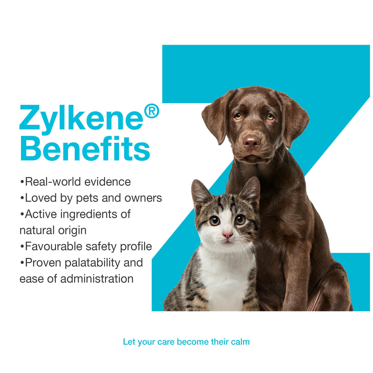 Vetoquinol Zylkene – Veterinary Health Product - Calm and Relaxed Behaviour in Pets During Stressful Events - 75 mg - Cats and Small Dogs - 30 Caps 🍁 All In One Marketplace Canada