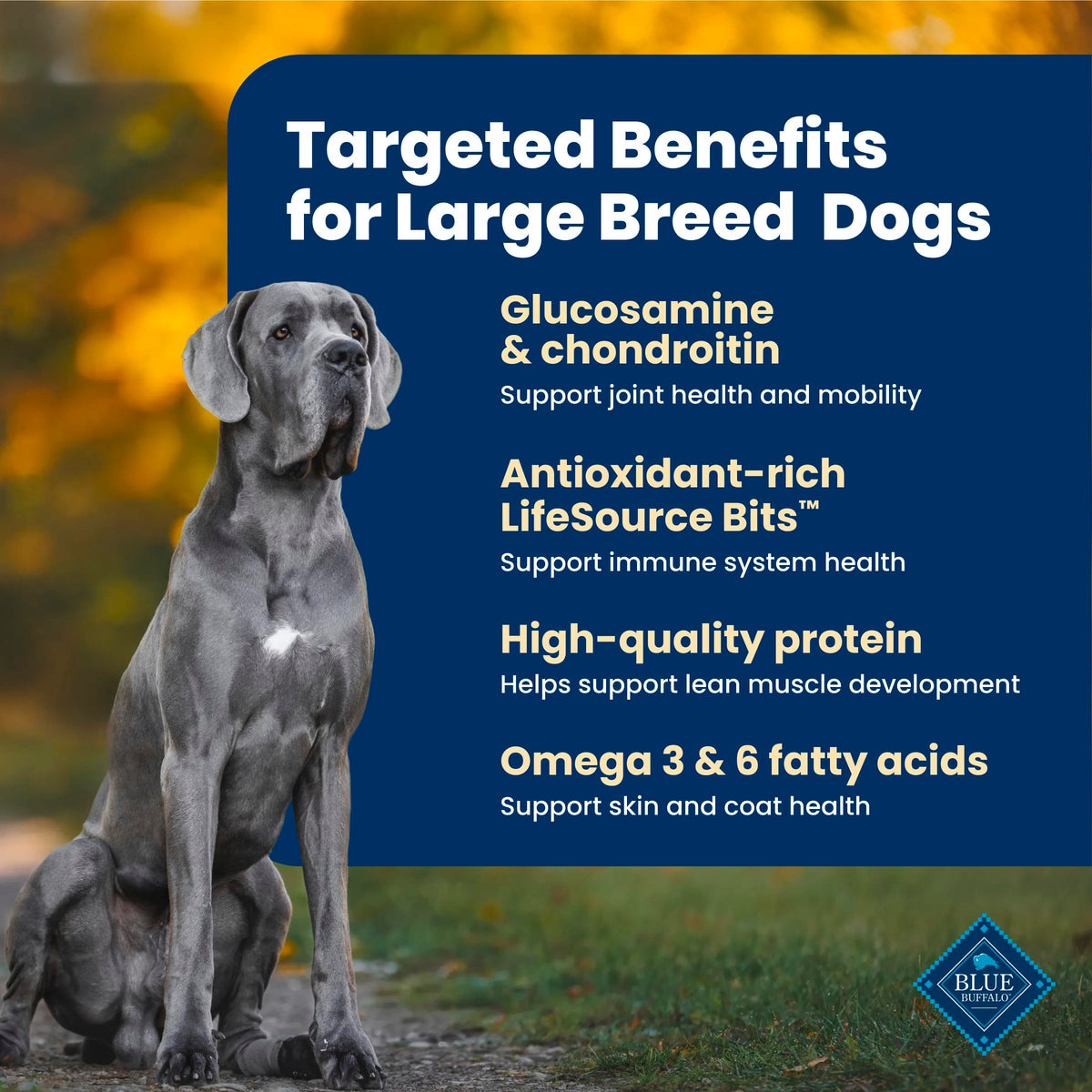 Blue Buffalo Life Protection Formula Lamb & Brown Rice Large Breed Adult Dry Dog Food, Supports Immunity with Antioxidant-Rich LifeSource Bits, Promotes Healthy Muscles, 11.7kg/26lbs 🍁 All In One Marketplace Canada