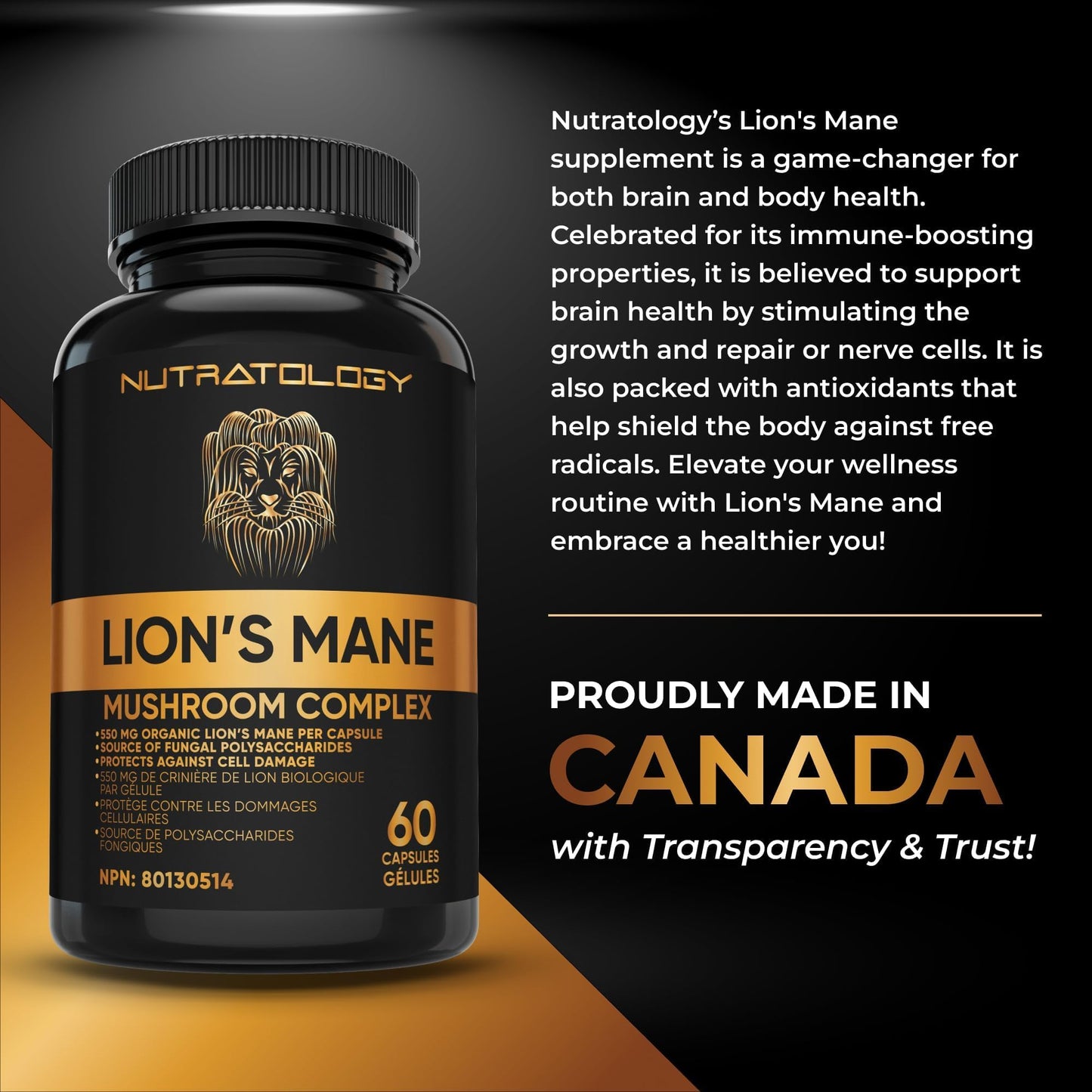 Nutratology® Organic Lion's Mane Mushroom Capasules - Nootropic Functional Mushroom Supplements Made With 40% Polysaccharides & >20% Beta-Glucan | Supports Memory, Cognition & Brain Health - 60 Count 🍁 All In One Marketplace Canada
