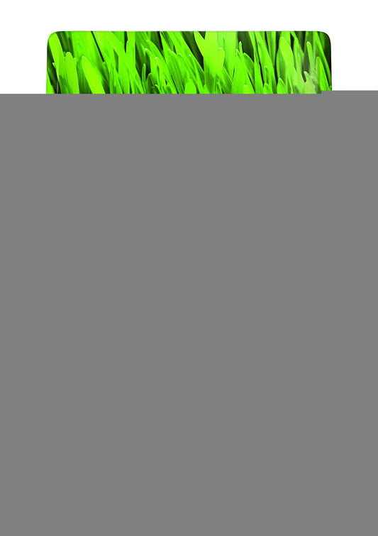 Scotts Turf Builder Quick & Thick Grass Seed, 1.2kg (173 sq Meters / 1,863 sq feet Coverage) | Grow a Thick, Green Lawn Fast. for Areas that Experience Sun & Shade 🍁 All In One Marketplace Canada