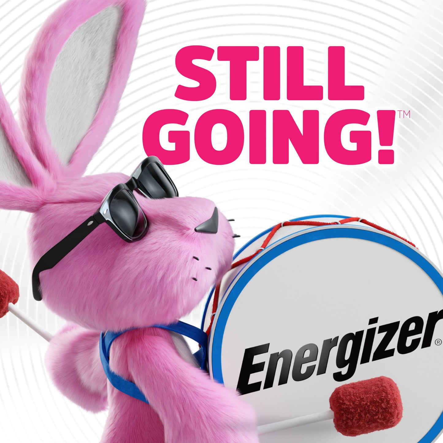 Energizer Rechargeable Battery Charger for C Cell, D Cell, AA, AAA, and 9V Rechargeable Batteries 🍁 All In One Marketplace Canada