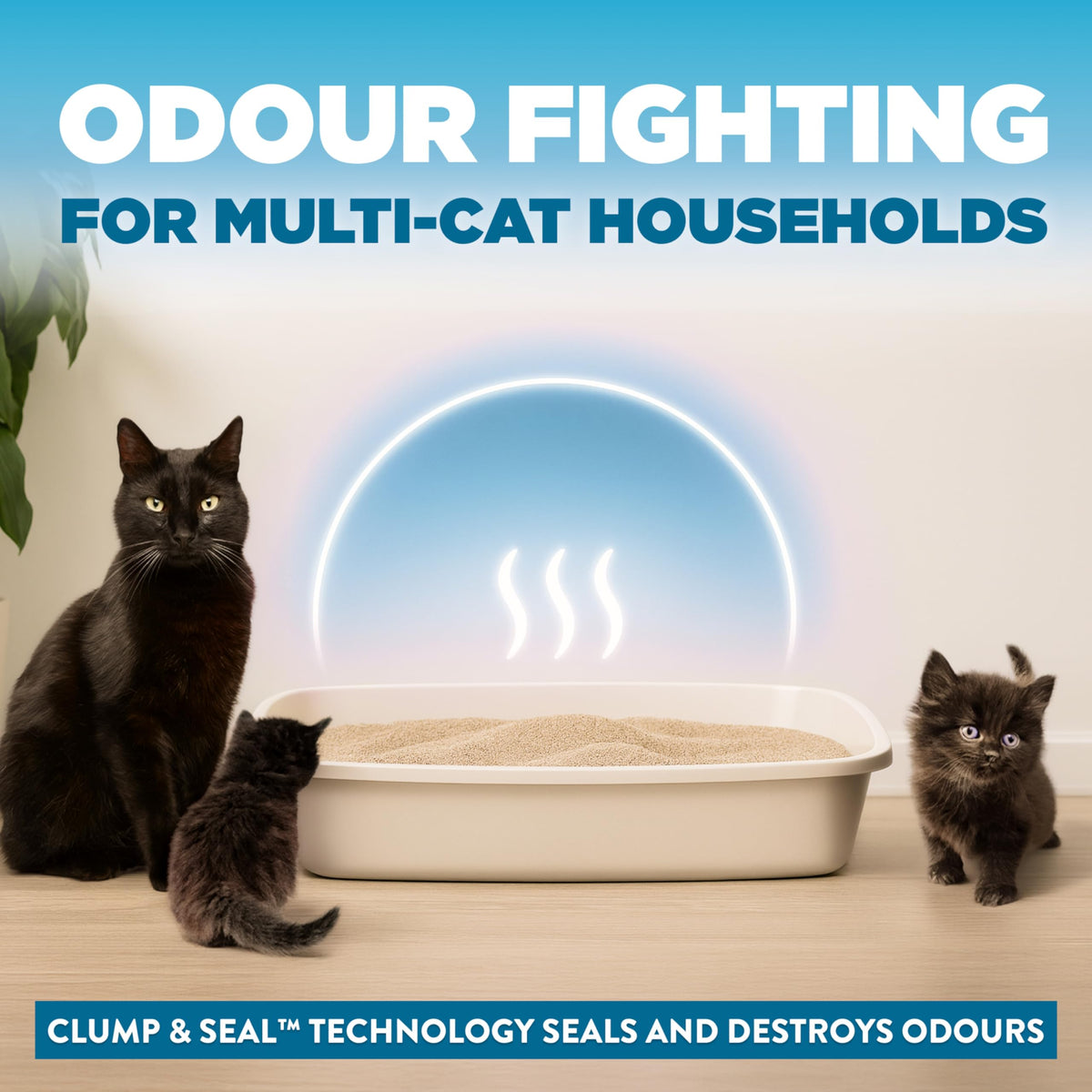 Arm & Hammer Clump & Seal Cloud Control Clay Cat Litter, Multi-Cat, 12.7kg, 7 Days of Odour Control, Dust Free, Clumping Litter (Pack of 1) 🍁 All In One Marketplace Canada