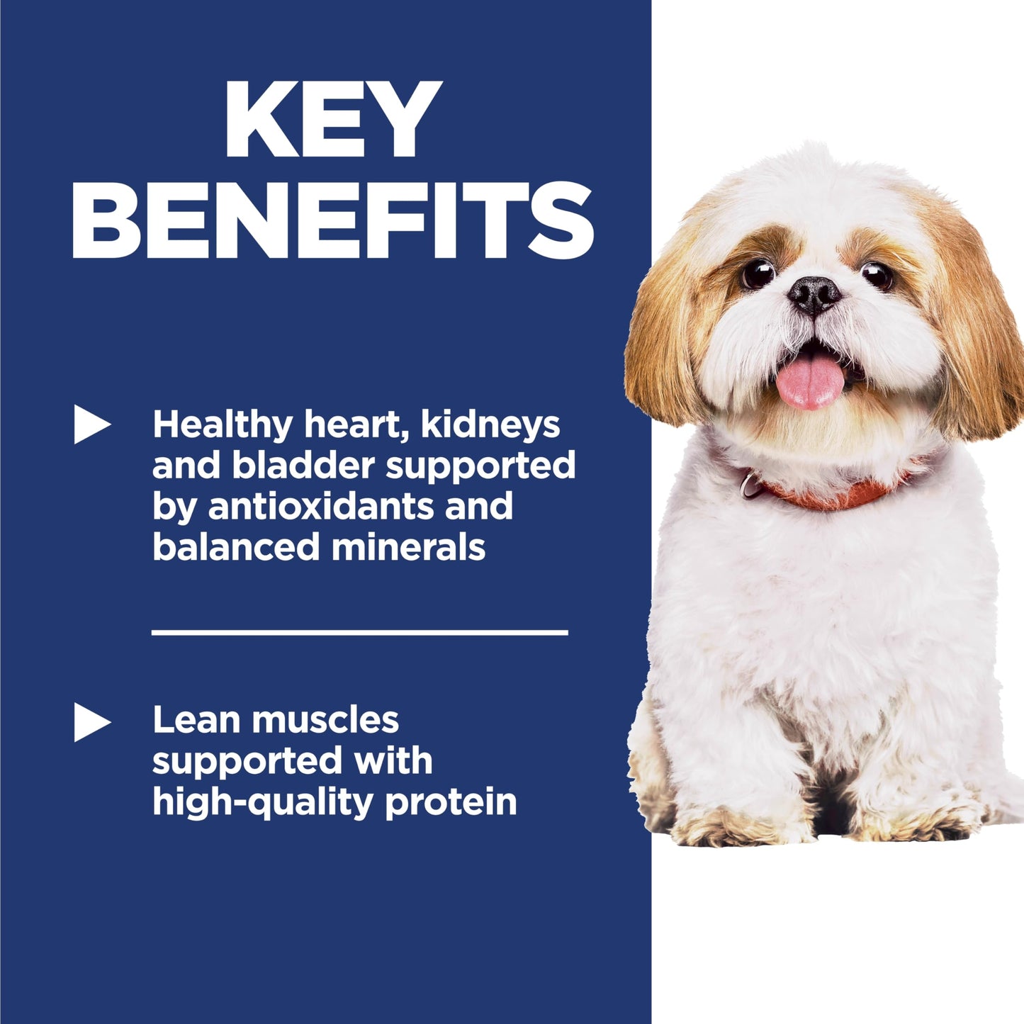Hill's Science Diet Senior 7+ Small Bites Chicken Meal, Barley & Rice Recipe Dry Dog Food 2.26 kg Bag 🍁 All In One Marketplace Canada