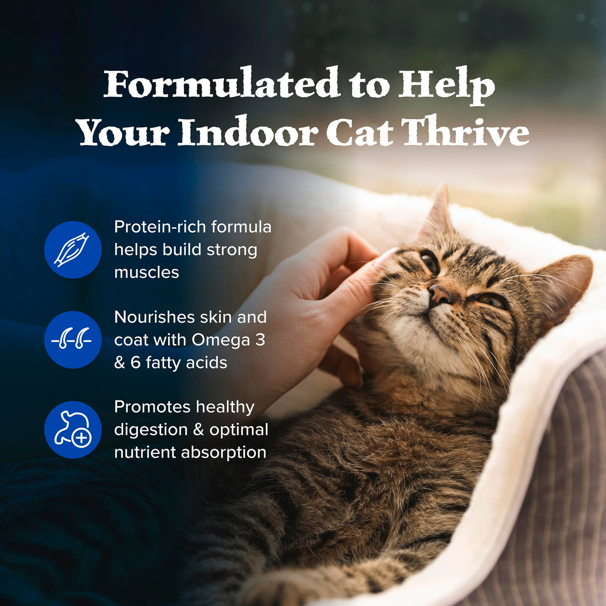 Blue Buffalo Wilderness Chicken Natural High-Protein Grain-Free Dry Food for Adult Indoor Cats, Real Chicken First, Antioxidant-Rich LifeSource Bits Support Immunity, Promotes Strong Muscles, 5 lbs. 🍁 All In One Marketplace Canada