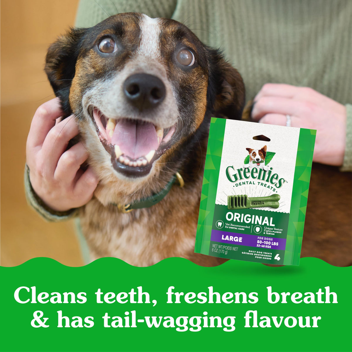 GREENIES Dog Treats Original Large Natural Dental Care, (34 Treats) 54oz. Pack 🍁 All In One Marketplace Canada