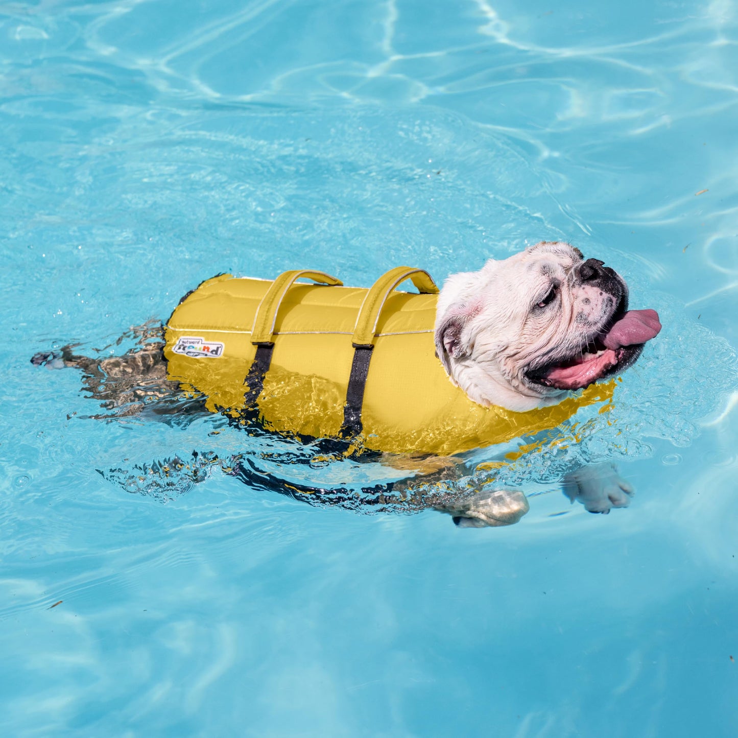 Outward Hound Granby Splash Dog Life Jacket with Handle, Reflective Floating Vest for Swimming & Boating, Maximum Buoyancy, All Skill Levels, Small Dogs & Puppies (16–20" Girth), Yellow, Small 🍁 All In One Marketplace Canada