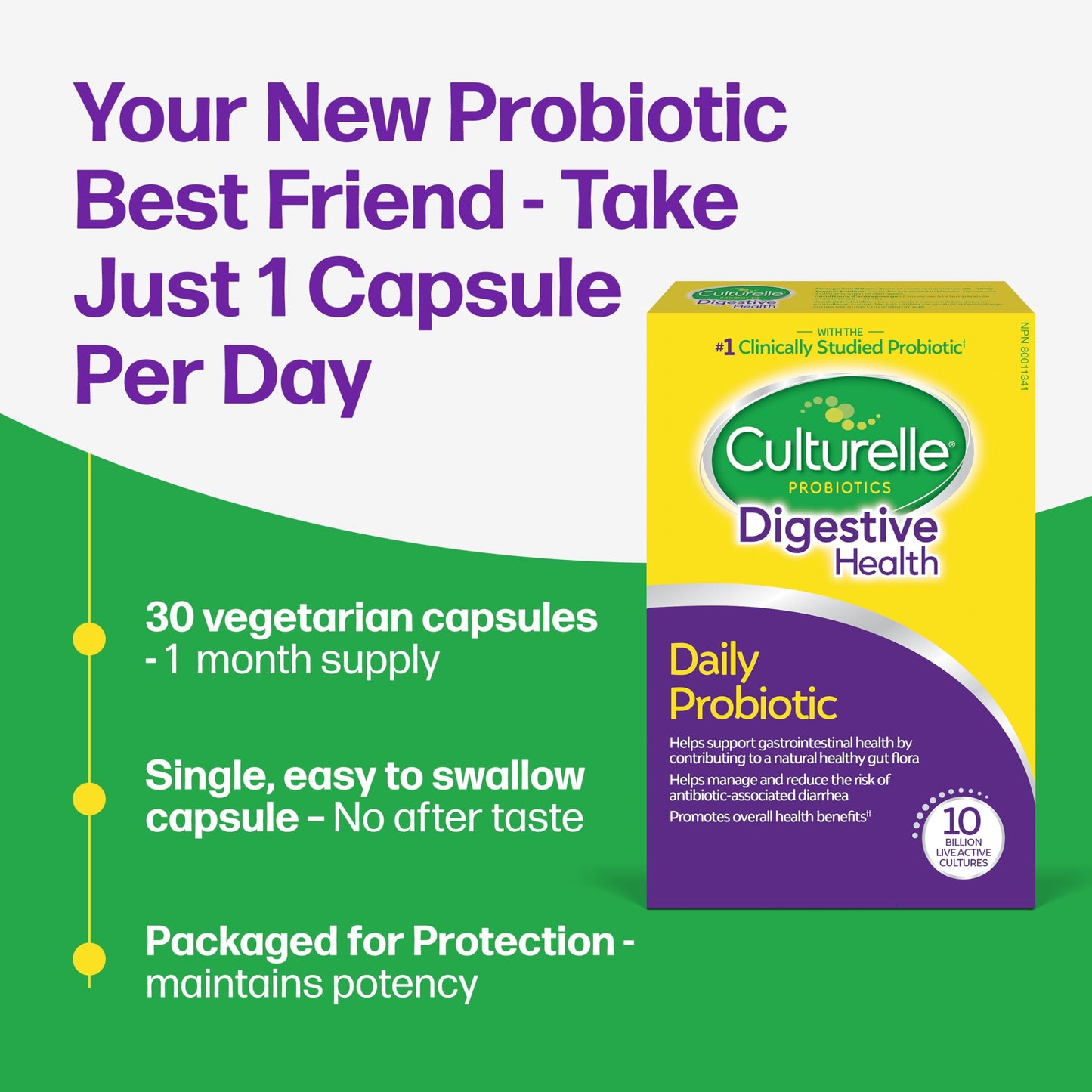 Culturelle Daily Digestive Health Daily Probiotic for Men and Women | With 100% Naturally Sourced Lactobacillus GG Strain †††††† | Pharmacist Recommended ††††† | Gluten Free and Vegan | 30 Count Capsules 🍁 All In One Marketplace Canada