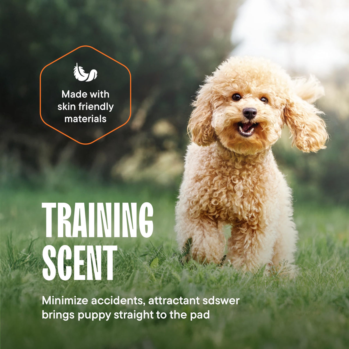 Puppy Pads Pet Pee Pads for Dogs & Puppy Training - 100 Count - Potty Pads for Dogs 22" x 22" Leak-Proof Dog Pee Pads - Quick-Dry Surface - Heavy Duty Absorbent Disposable Dog Wee Pad Bulk Pack 🍁 All In One Marketplace Canada