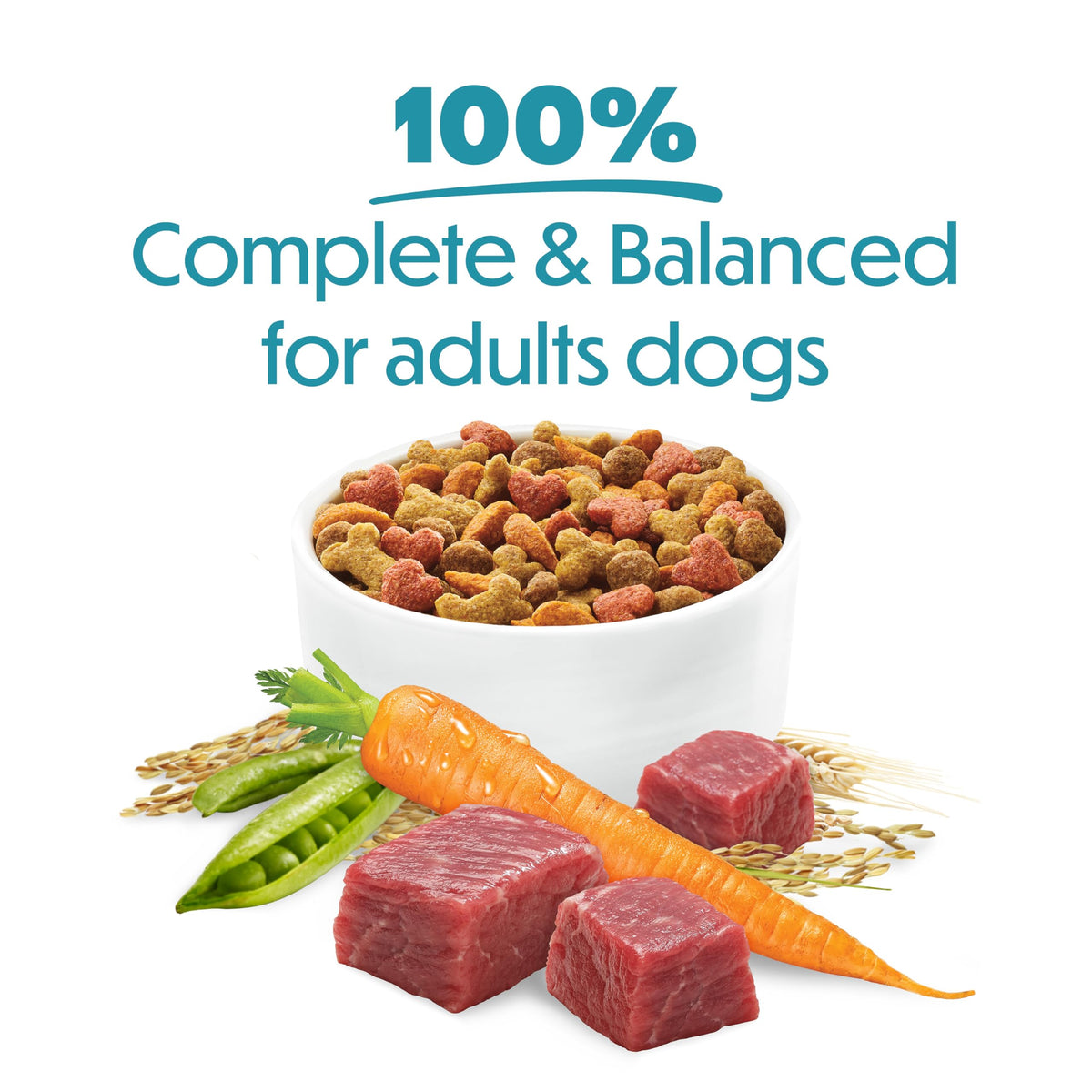 Beneful IncrediBites Dry Dog Food for Small Dogs, Real Beef - 7 kg Bag 🍁 All In One Marketplace Canada