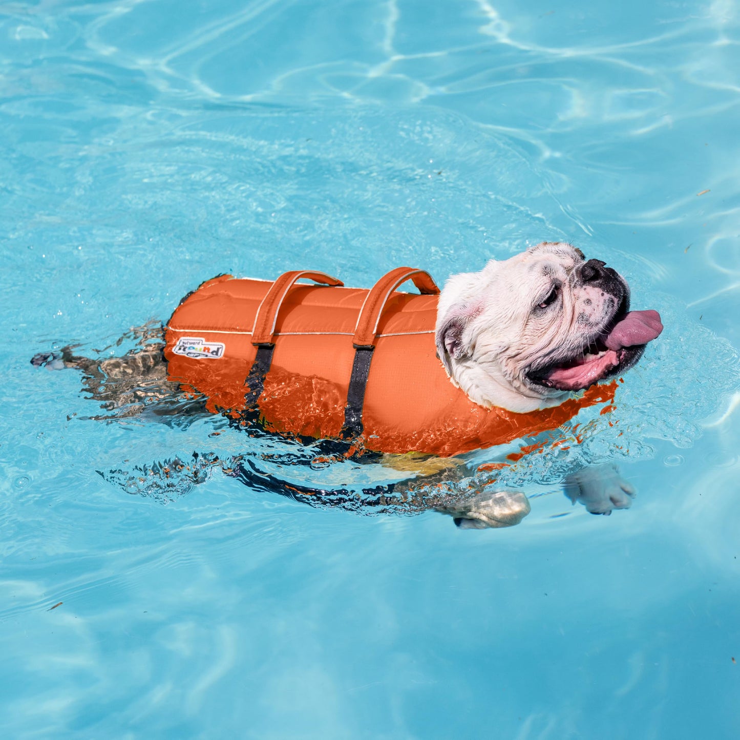 Outward Hound Granby Splash Dog Life Jacket with Handle, Reflective Floating Vest for Swimming & Boating, Maximum Buoyancy, All Skill Levels, Extra-Small Dogs & Puppies (11–15" Girth), Orange, X-Small 🍁 All In One Marketplace Canada