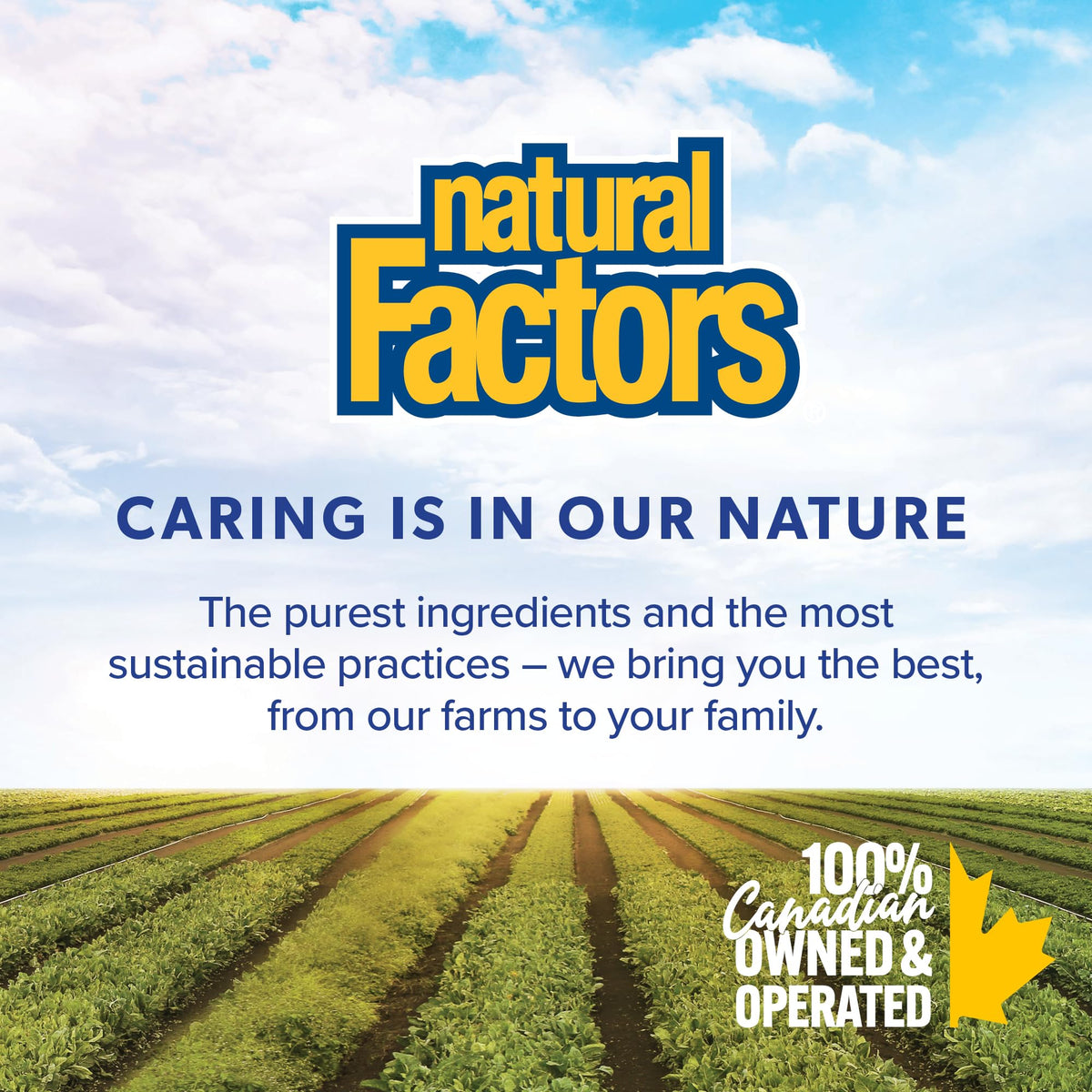 Natural Factors Ubiquinol Active CoQ10 100 mg, 60 Softgels, Supports Cardiovascular Health, Proudly Canadian 🍁 All In One Marketplace Canada