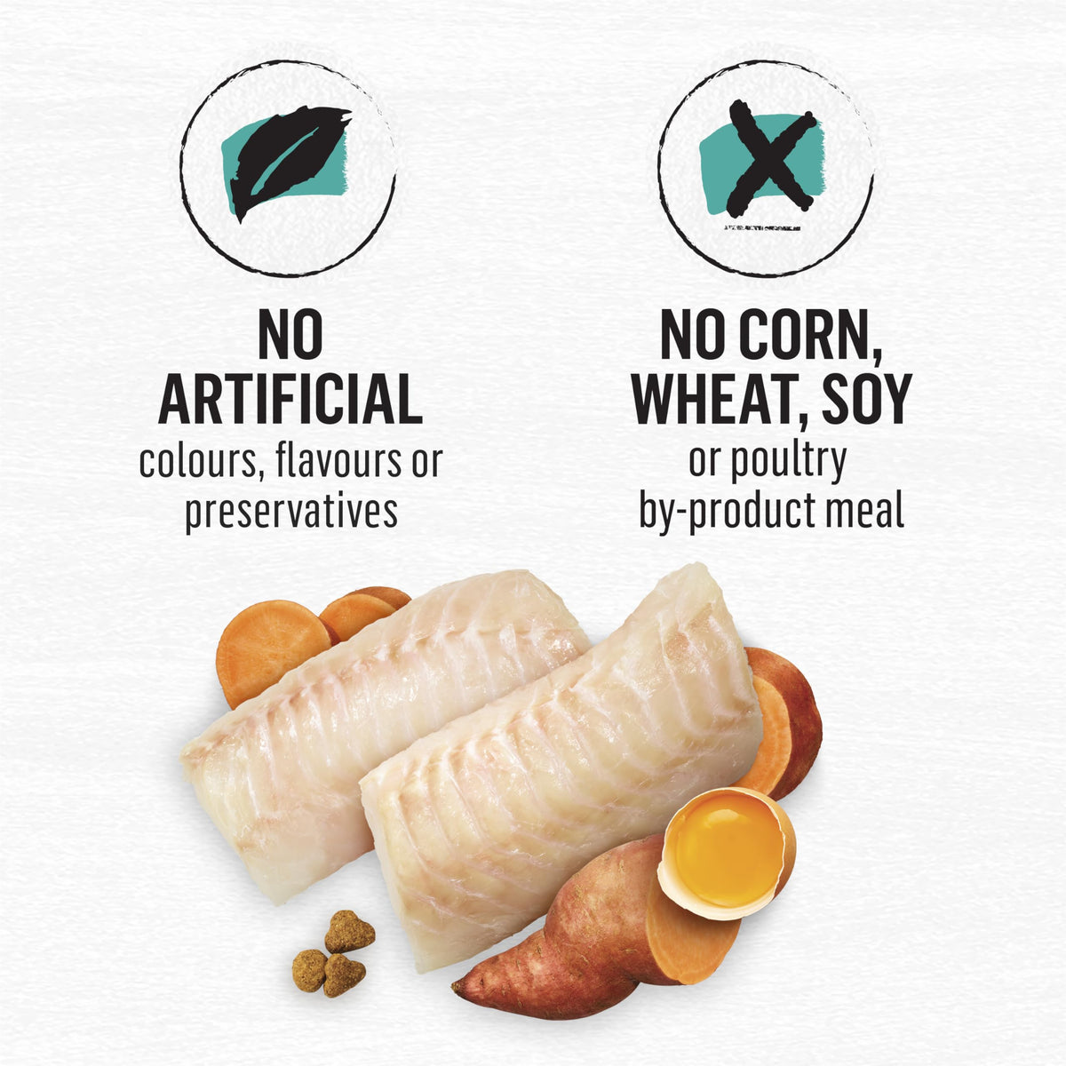 Beyond Grain Free Natural Dry Cat Food, Wild-Caught Whitefish & Free Run Egg - 2.26 kg Bag 🍁 All In One Marketplace Canada