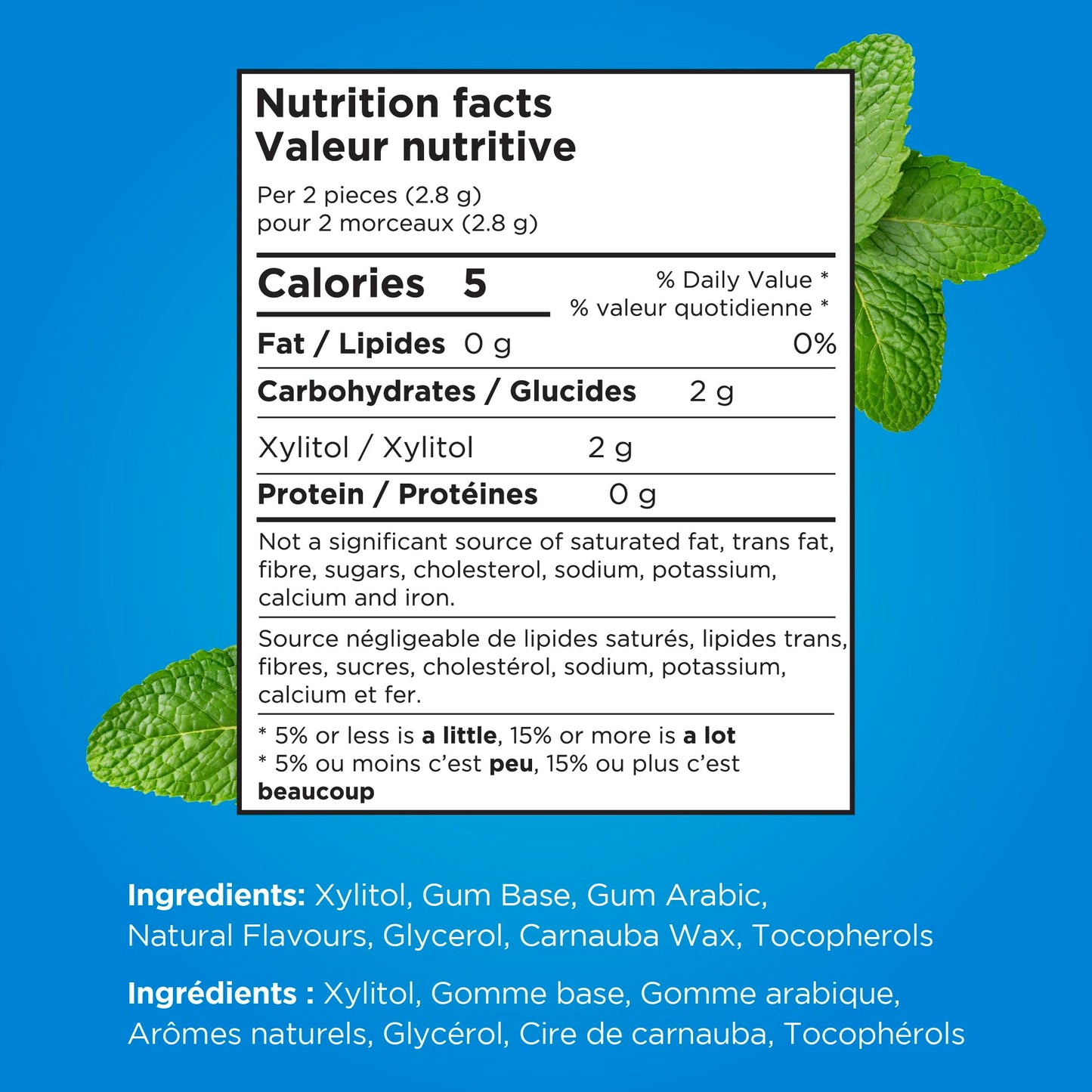 PUR Gum | Aspartame Free Chewing Gum | 100% Xylitol | Natural Peppermint Flavoured Gum, 55 Pieces (Pack of 6) 🍁 All In One Marketplace Canada
