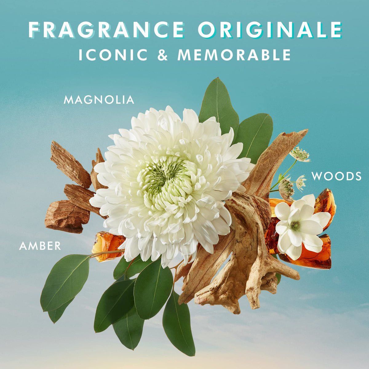 Moroccanoil Shower Gel Fragrance Originale, 8.4 Fl Oz (Pack of 1) 🍁 All In One Marketplace Canada