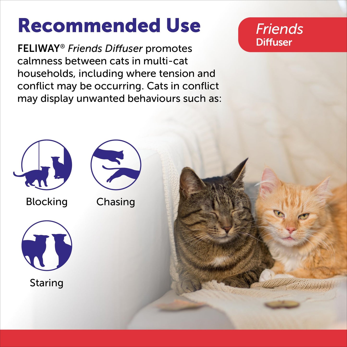 FELIWAY Friends Diffuser Refill, Promotes harmony between cats in multi-cat households, VHP Registered NN.X7C2, includes 1 Refill, Lasts 30 Days, Cat Calming Pheromones, 48ml 🍁 All In One Marketplace Canada