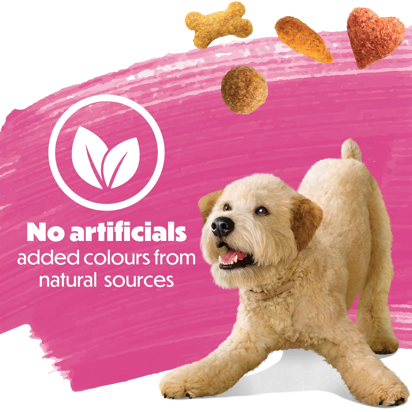 Beneful Originals Dry Dog Food, Real Salmon - 7 kg Bag 🍁 All In One Marketplace Canada