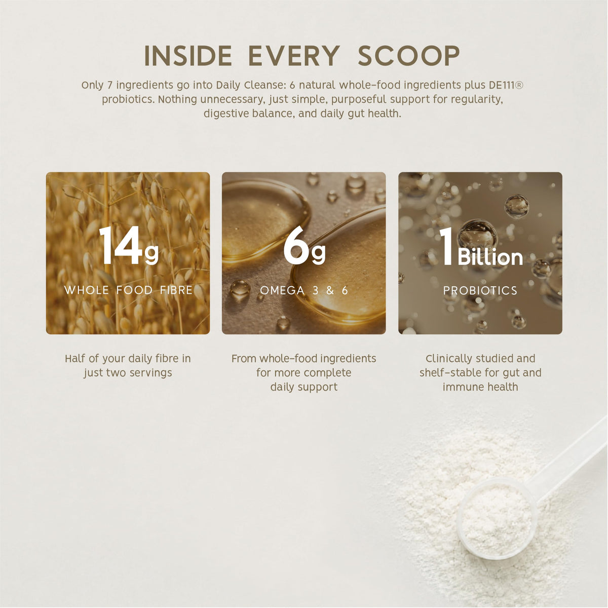 North Coast Naturals Ultimate Daily Cleanse with Superior Fibre (1 kg (pack of 1)) 🍁 All In One Marketplace Canada