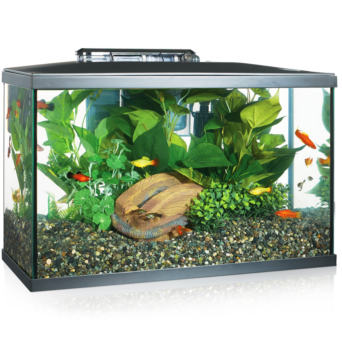 Marina LED Aquarium Kit, 10 Gallon, (15256A1) 🍁 All In One Marketplace Canada
