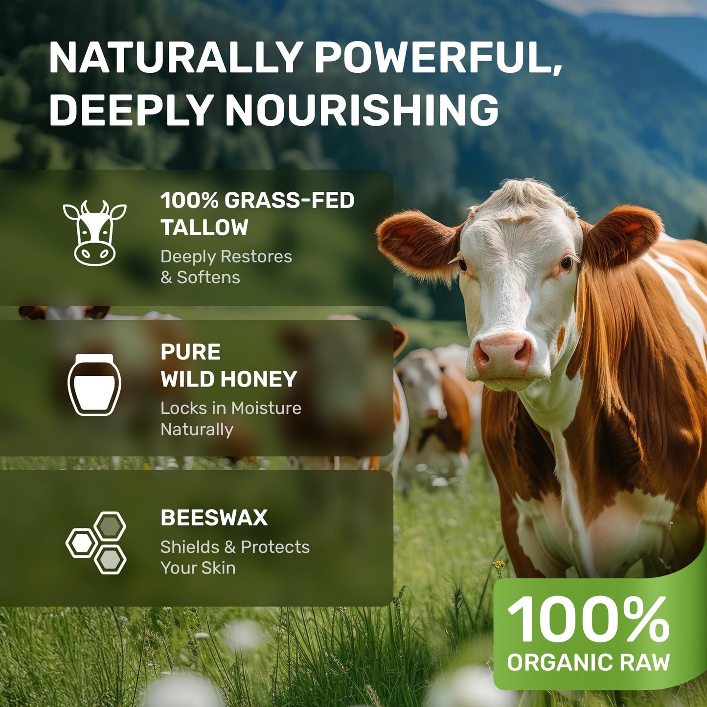 Beef Tallow Face Cream – Grass Fed Whipped Tallow and Honey Balm for Skin, Body Moisturizer with Beeswax and Wild Honey, 3-Ingredient Fragrance Free Non Comedogenic Skincare for Dry Sensitive Skin 🍁 All In One Marketplace Canada
