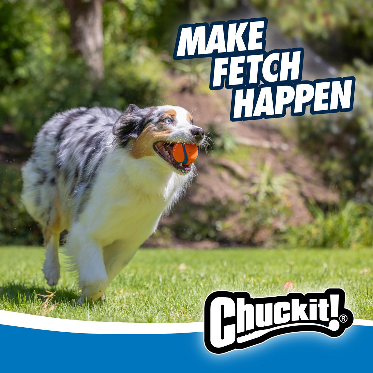 Chuckit! Fetch Ball Medley, Medium, Dog Ball, 3 Pack, Ultra, Fetch and Rugged Balls Included 🍁 All In One Marketplace Canada