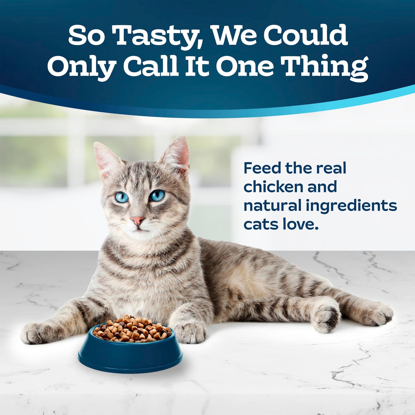 Blue Buffalo Tastefuls Chicken & Brown Rice Recipe Adult Dry Cat Food Hairball Control, Real Chicken First, Deliciously Healthy Natural Cat Food, Supports Digestive Care and Coat Health, 3.1kg Bag 🍁 All In One Marketplace Canada
