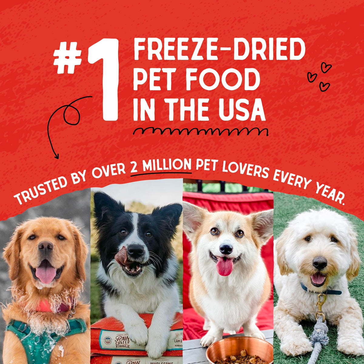 Stella & Chewy’s Freeze Dried Raw Super Beef Meal Mixer – Dog Food Topper for Small & Large Breeds – Grain Free, Protein Rich Recipe – 510g Bag 🍁 All In One Marketplace Canada