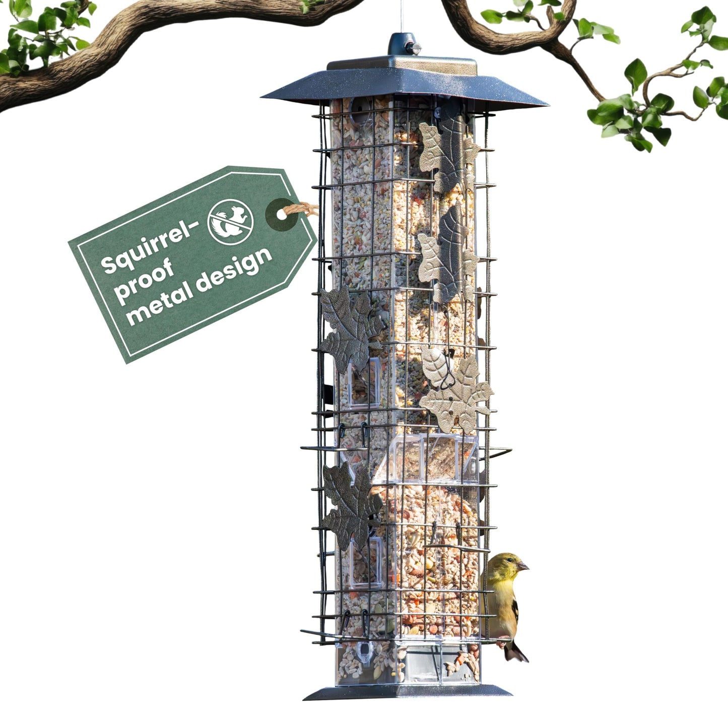 Perky-Pet 336-1SR Squirrel-Be-Gone Bird Feeder, 2LB Squirrel Proof Outdoor Wild Bird Feeder with Weight-Activated Perches 🍁 All In One Marketplace Canada