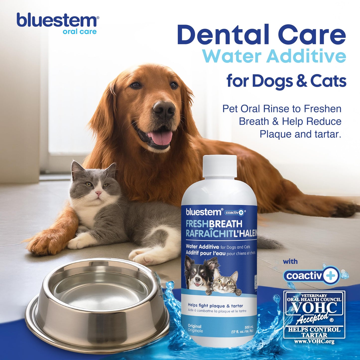 bluestem Dental Care Water Additive for Dogs & Cats – No Brushing Daily Teeth Cleaner – Pet Oral Rinse to Freshen Breath & Help Reduce Plaque – Flavorful & Easy Oral Hygiene (500 ml, Original) 🍁 All In One Marketplace Canada